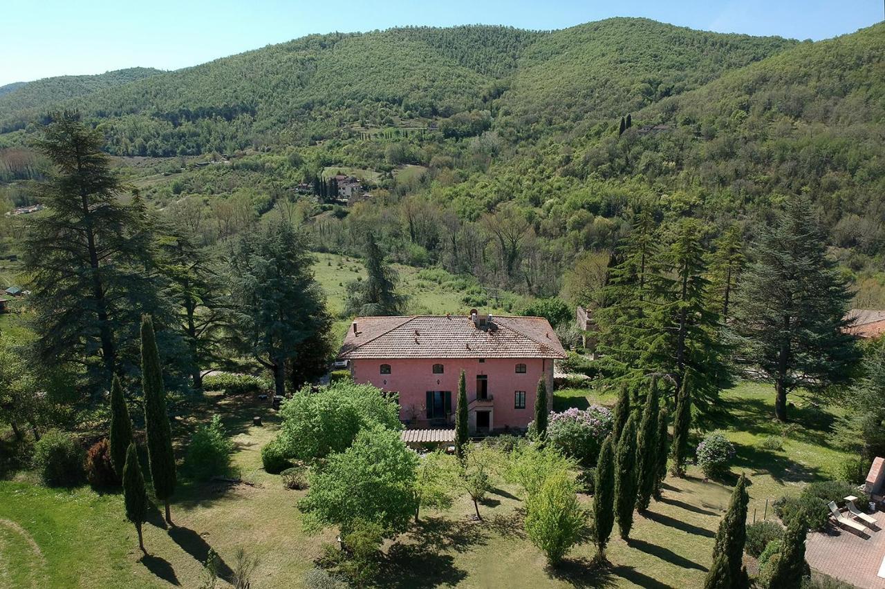 Rosa Panzano * Panzano in Chianti